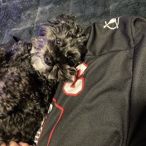 Meet your Posher, Caleb